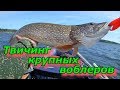 Оторвался по ЩУКЕ на водохранилище. Твичинг крупных воблеров.