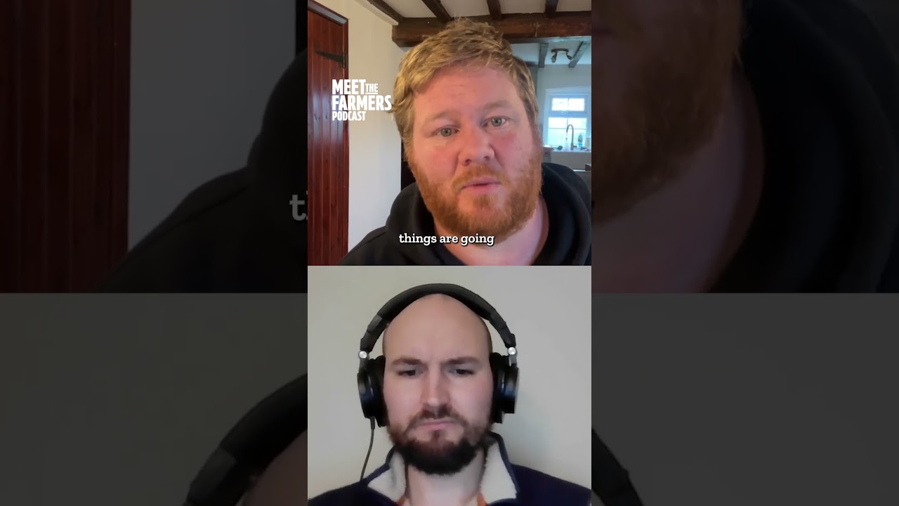 Действительно ли диверсификация фермерских хозяйств является «волшебной палочкой», какой её предс...