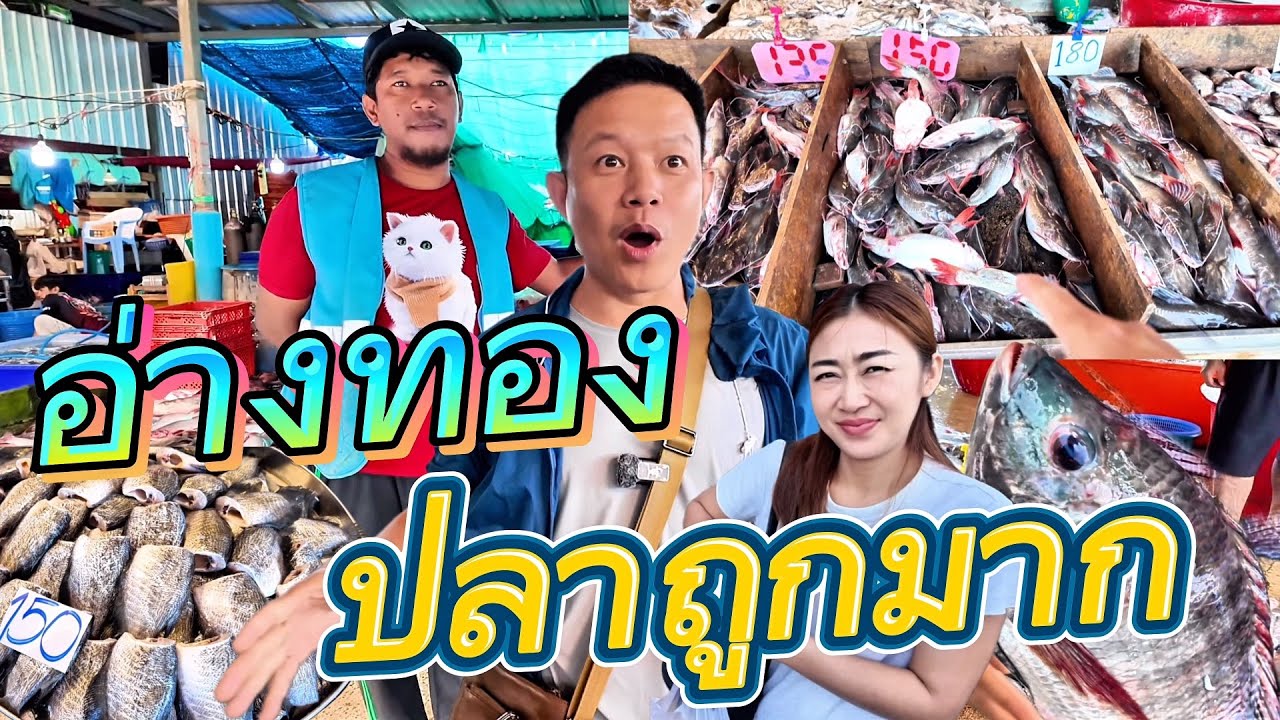 EP#2 ปลาเยอะไม่ว่า✅แต่ว่าที่นี่ปลาถูกมาก ตลาดปลาจังหวัดอ่างทอง