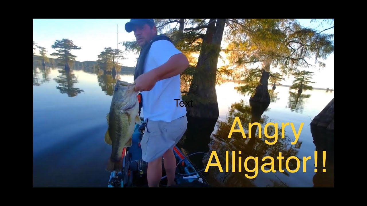 Kayak Bass Fishing the Swamps of Caddo Lake TexasLouisiana Bass