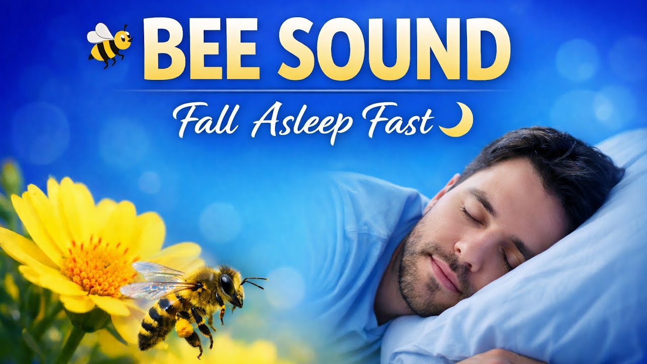 Bee Sound to Fall Asleep Fast | Deep Sleep Nature Sound