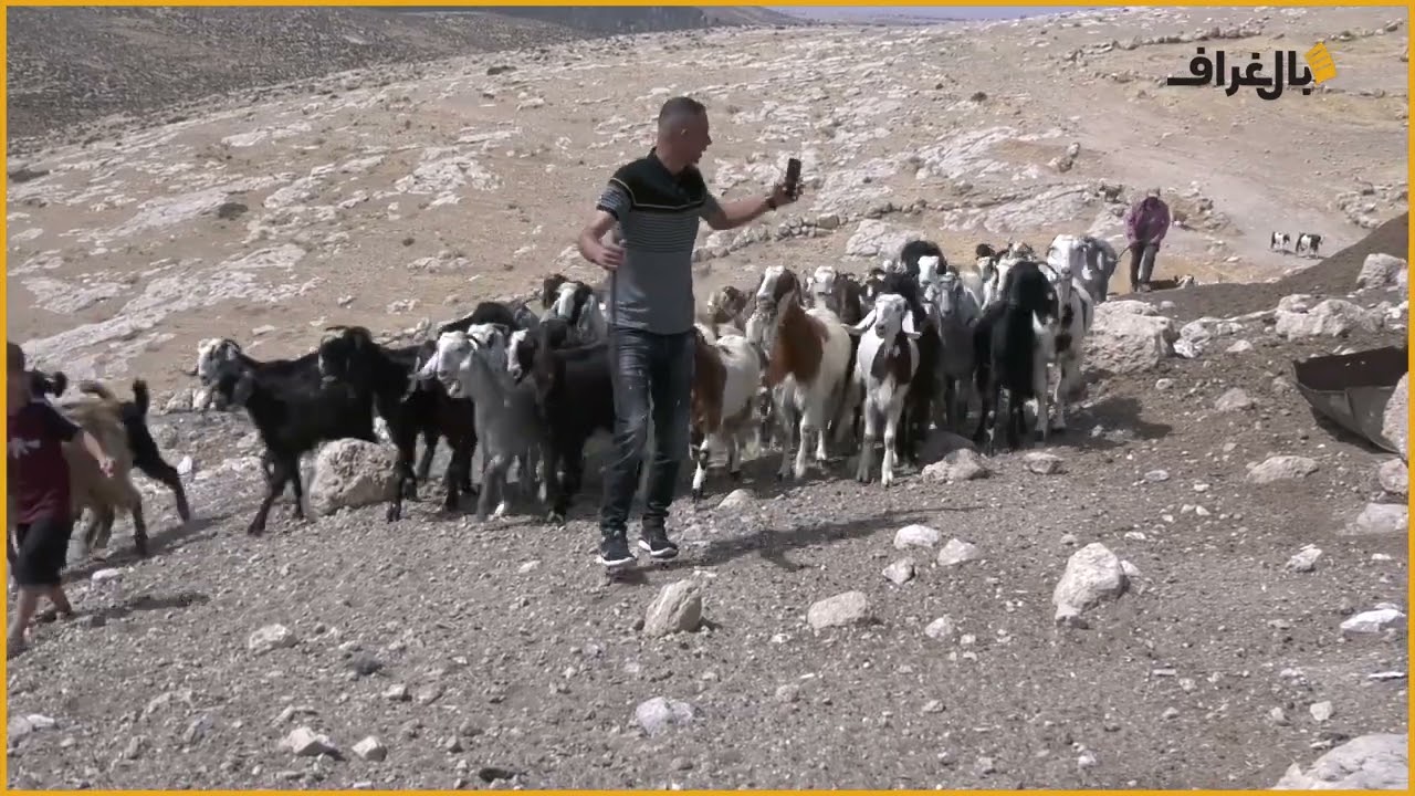 عادل الطل .. طلة جيدة للتيك توك