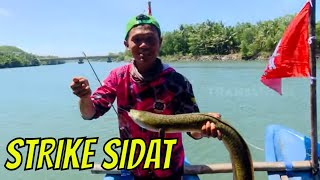 Download lagu Berburu Strike Ikan Sidat di Muara Sungai Pantai Suwuk | MANCING MANIA STRIKE BACK (03/09/23) Part 1