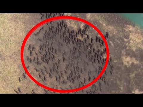 Vídeo: Em Uma Foto De Marte Da NASA, Vimos Algo Muito Semelhante A Uma Aranha - Visão Alternativa