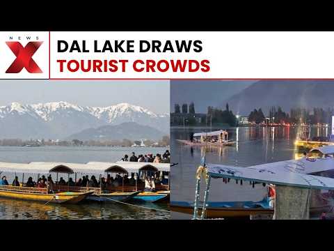 Dal Lake Dazzles! Tourists Flock To Srinagar For Scenic Shikara Rides | NewsX