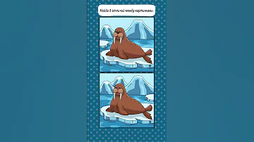 8 Отличий Морж