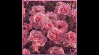 Young Dave - Luv