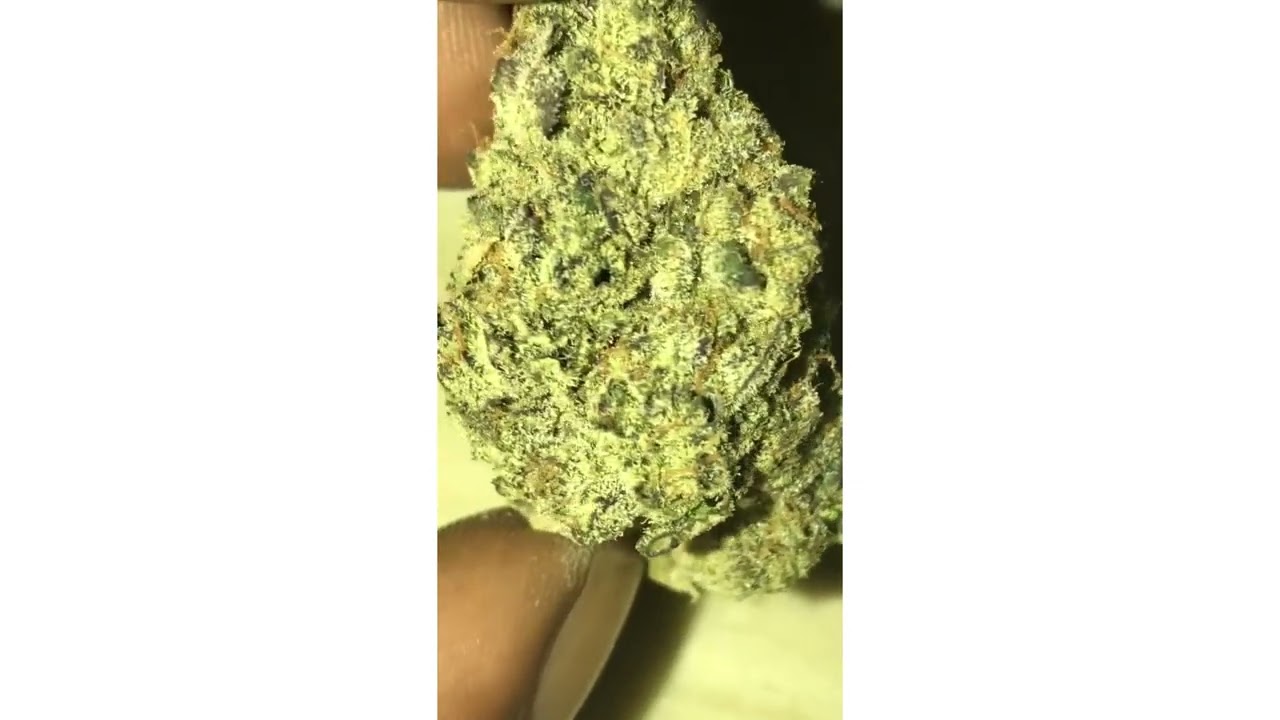 Frosted Donuts Strain Review ( Smk Brk 420 ) YouTube