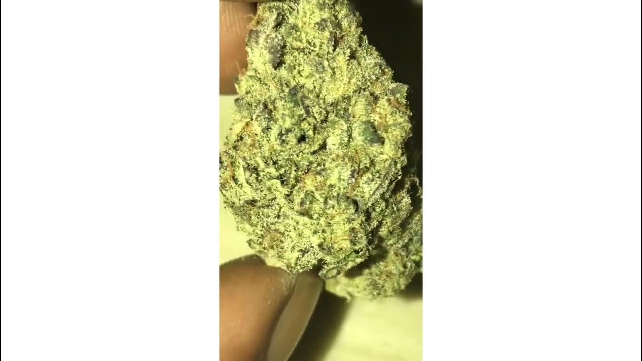 Frosted Donuts Strain Review ( Smk Brk 420 ) YouTube