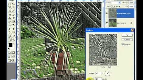 Advanced Sharpening in Photoshop CS2 - Reducing Motion Blur
