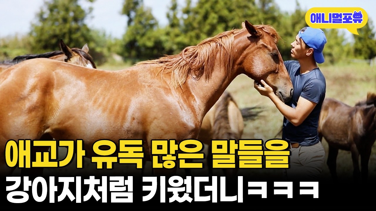 말과 사랑에 푹~ 빠진 부자의 제주도 말 농장 라이프ㅣKBS 공감 플러스 210502 방송