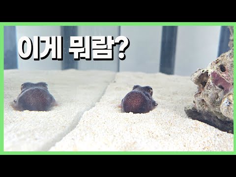 어이쿠?