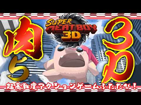【Super Meat Boy ３D】半鬼の肉 再び。 #5【飲酒初見実況プレイ配信】