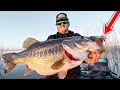 Catch the Biggest Bass of Your LIFE This November! (Top Baits for GIANT Bass)