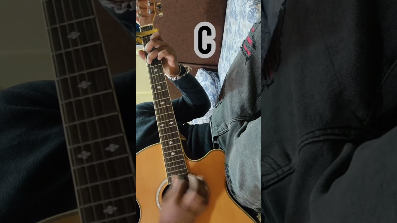 guitar lesson for didi song ft titu mama | dhindora bbkivines | 