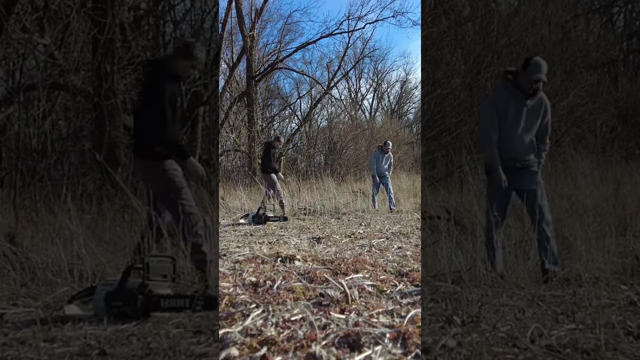 Clearing Trees on my new Farm #farmer #farming