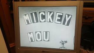 Mickey Mouse Club 1950S Family Channel Canada Ad