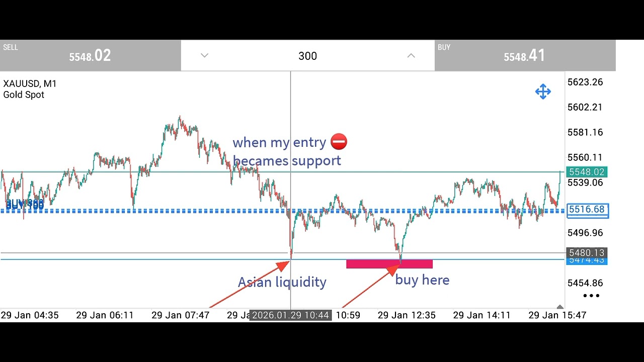 Am the king of demo forex strategy 