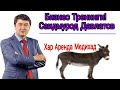 Саидмурод Давлатов Бизнес Тренинг 2019.11.Февраль