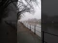 Foggy day, river view