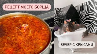 День с крысами 🐀 | Рецепт моего борща 🍲