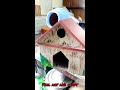 how to DIY birdhouse painting