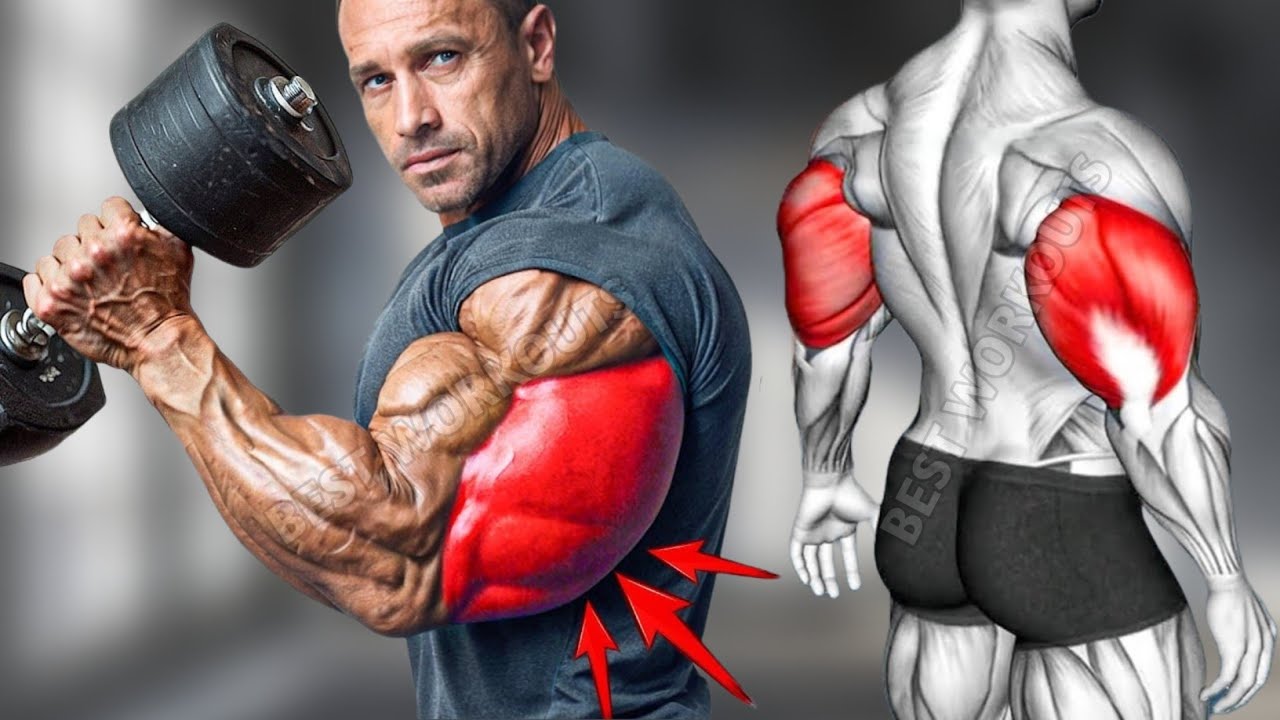 7 Best Exercises to Get Huge Triceps Fastest | Triceps Workout - YouTube