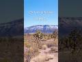 1.25 Acres for Sale in Arizona for $5,625. #foryou #fyp #shorts #land #arizona #sale #realestate #fy