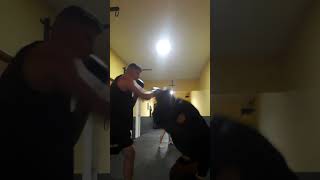 #music #phonkmusic #kickboxing #k1 #glory  ÁLVARO ROSADO KICKBOXING DESTRUIDOR CRATO CE