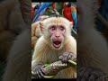 हाथी ने रास्ता क्यों बदला? जीवन की एक बड़ी सीख! 🐘🛤️#MotivationalStory