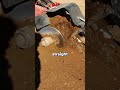 What a 36-Inch Trencher Can Do!