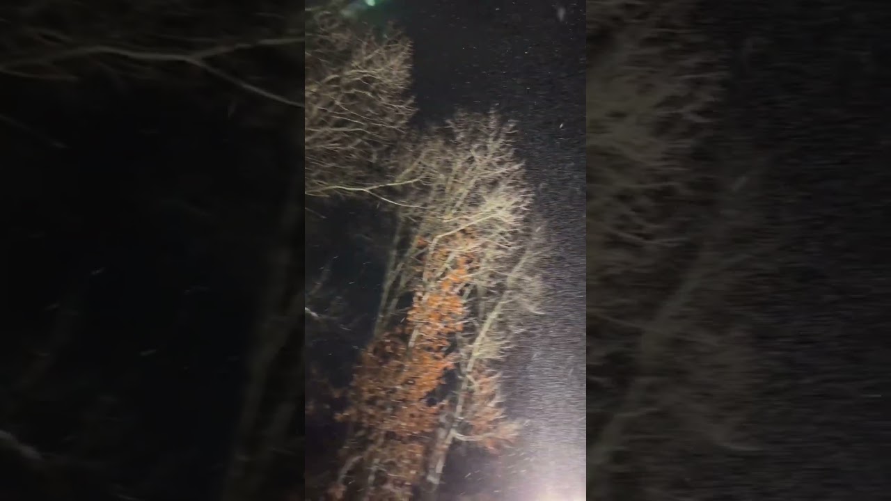 Snowfall at a an old mill. 