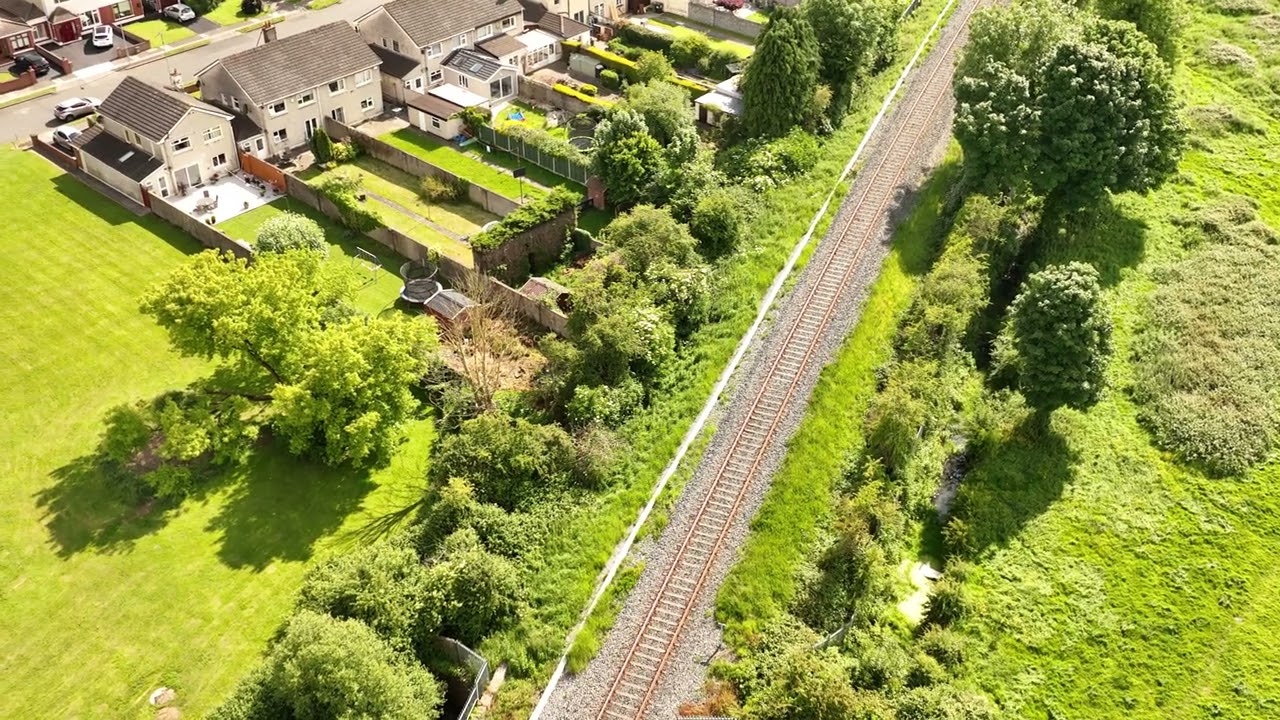 Bully's acre and the dale