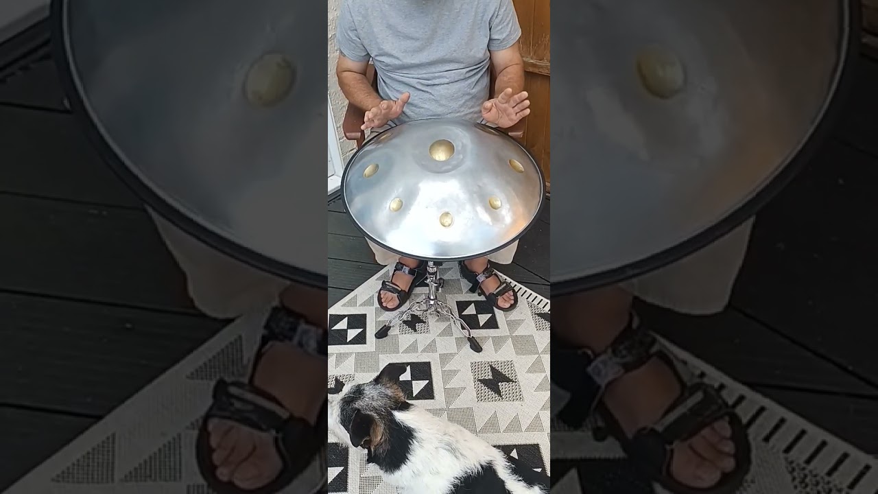 D Minor Silver Ex Workshops Sale used handpans +, Case all re-tuned! PeterPan Handpan instruments