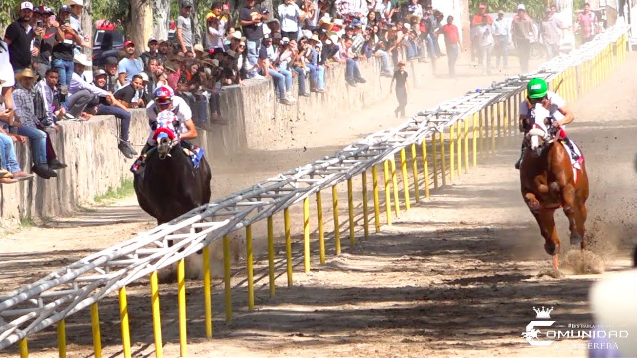 El Titi Vs. Dondy. Carril El Burrito, JAL. YouTube