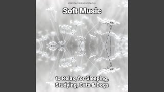 Soft Music to Relax Pt. 41 screenshot 5