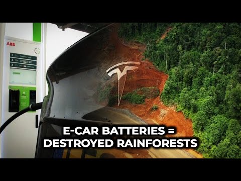 How Much Indonesian Rainforest Is Left