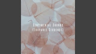 Resonance of Reminiscence (Loopable Sequence)