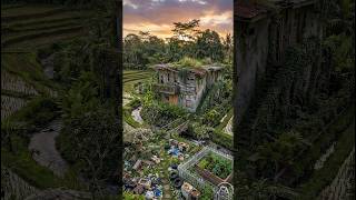 Incredible Renovation Turning Decay Into Beauty