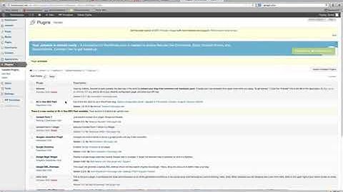 Google plus auth WordPress Plugin