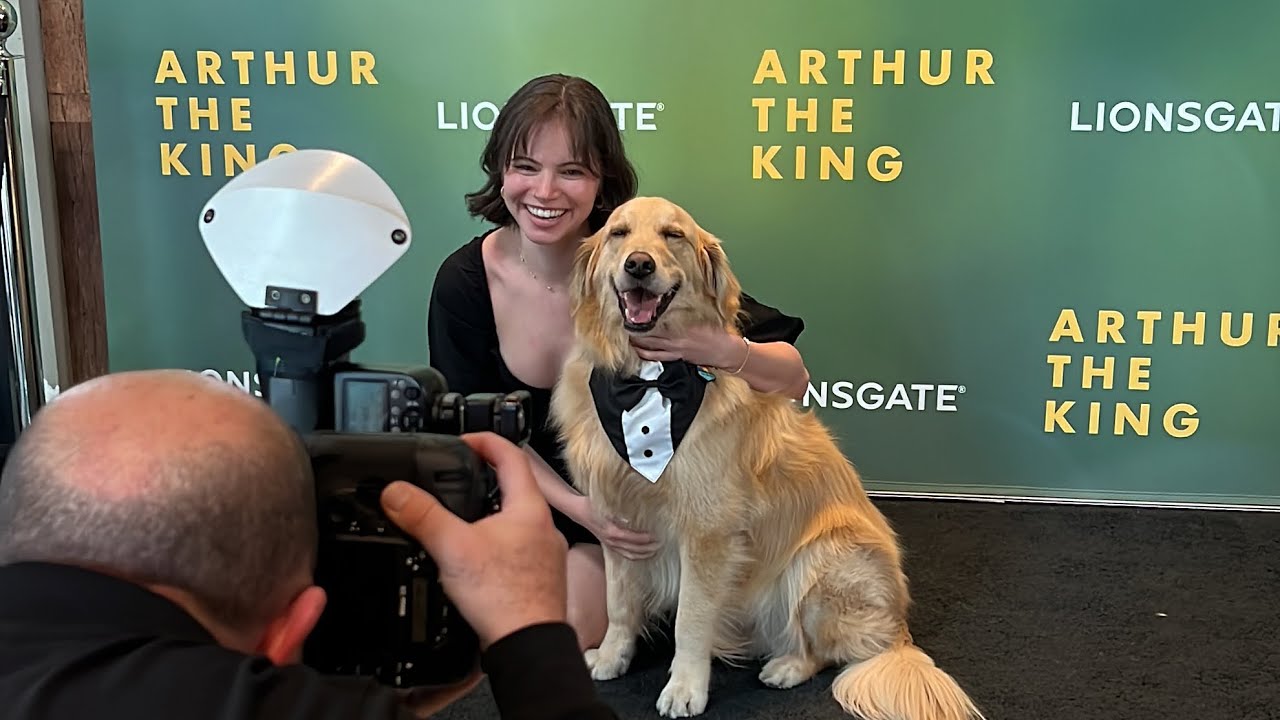 моя собака пошла на показ голливудского фильма!