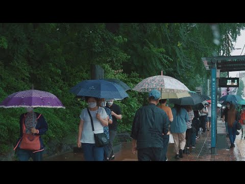 [4K Rain Walk] Experience the Magic of Walking in the Rain on Seoul Street, 비오는날의 혜화동 거리