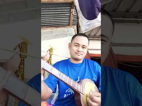 หัดเล่นลายพิณอาจารย์ทองใส  ถับถนน