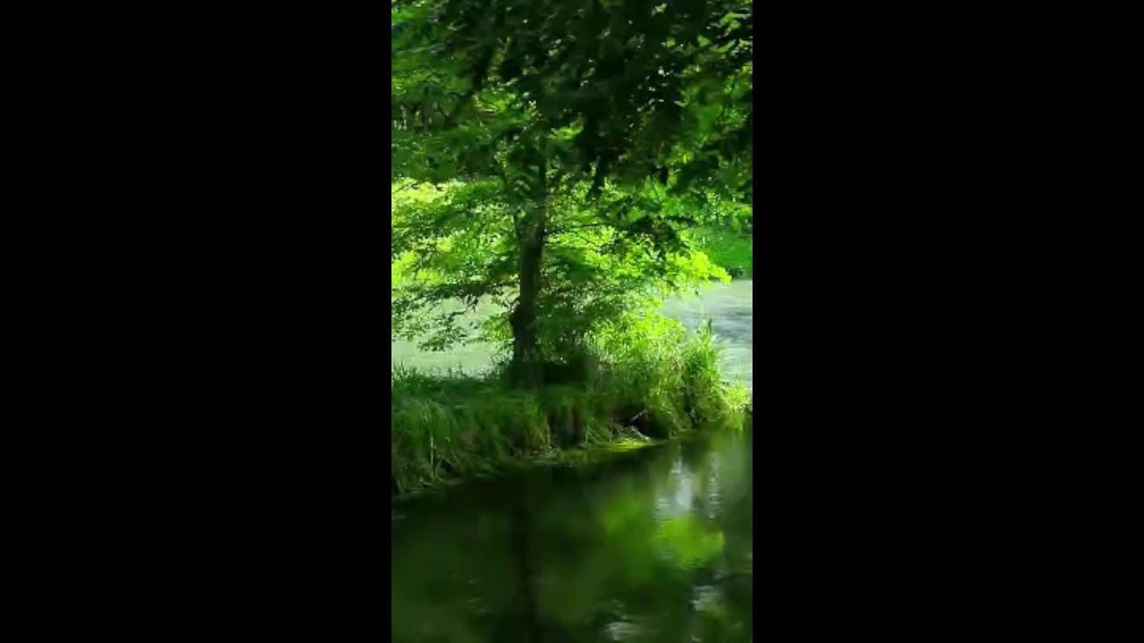 Relaxing Mini‑Game—ASMR#gaame