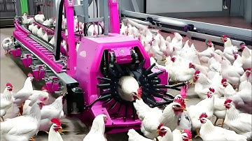 Most Satisfying Factory Machines & Genius Tools 2025 ▶ 2