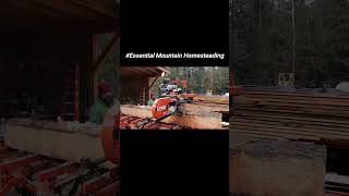 Sawmill Secrets: Unveiling the Hidden Woodworking Techniques