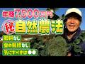 【職業紹介】自然農法家｜肥料なし! 農作業１日密着｜年商7,500万円の裏事情【橋本進】
