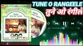 TUNE O RANGEELE (KUDRAT) SINGAR.  SADHANA SARGAM. SUHANE PAL VOL. 6