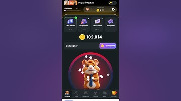 Hamster kombat how to solve mini puzzle game 9 September 2024 Solve 100% Hamster Kombat