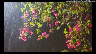 026 - Ash-Shuara -Shaykh Abdulhadi Kanakeri